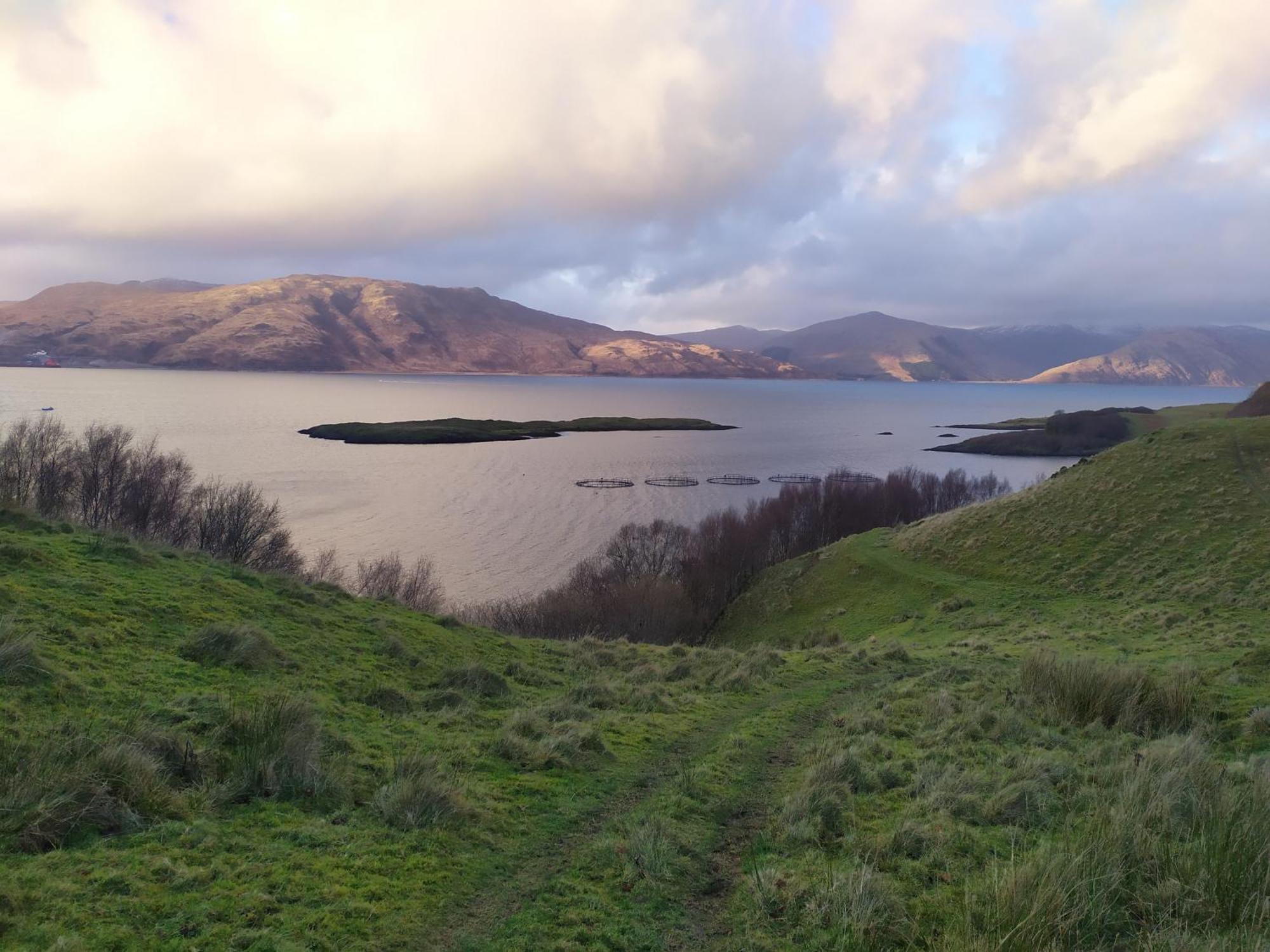 Ballimackillichan Croft Isle of Lismore Dış mekan fotoğraf