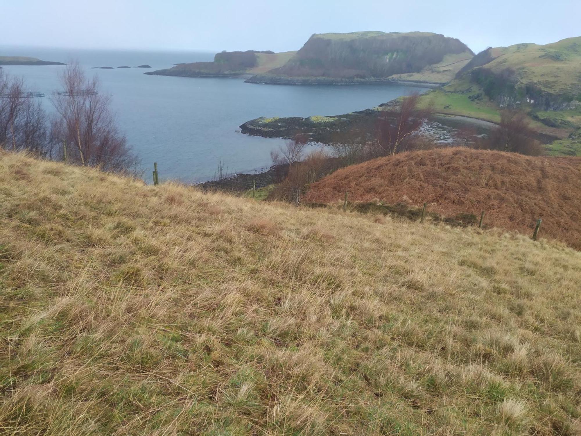 Ballimackillichan Croft Isle of Lismore Dış mekan fotoğraf